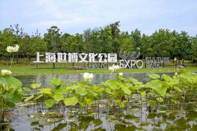人民的“镜”界：上海世博文化公园摄影大赛及征集活动正式启动kok中欧登录入口(图1)