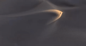 沙漠现鱼游！新疆摄影师在塔克拉玛干沙kok中欧登录入口漠拍到惊艳一幕(图1)